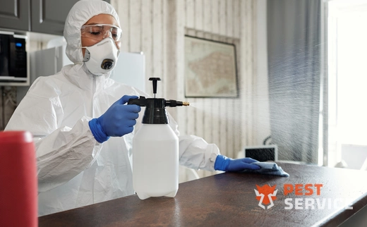 Дезинфекция в Чапаевске